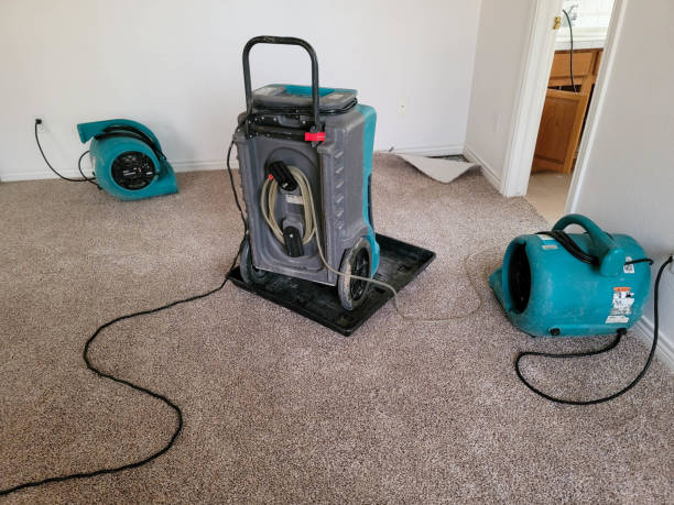 Best Water damage restoration company  in Buckhead Ridge, FL