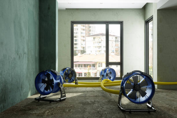 Best Sewage cleanup and water damage restoration  in Buckhead Ridge, FL