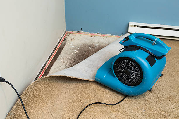 Best Water damage restoration near me  in Buckhead Ridge, FL